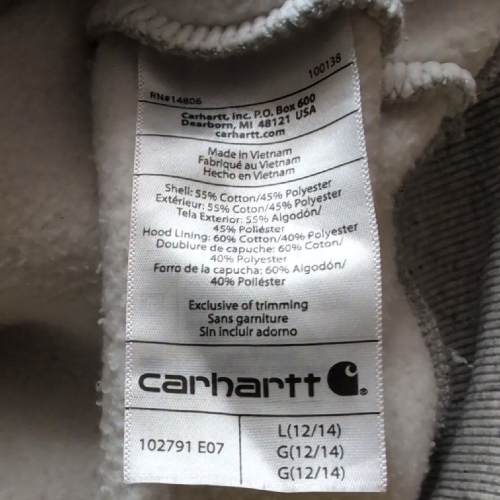 Carhartt Clarksburg Graphic Sleeve Hoodie Sweatshirt Size L MSRP $59.99 - Picture 5 of 9